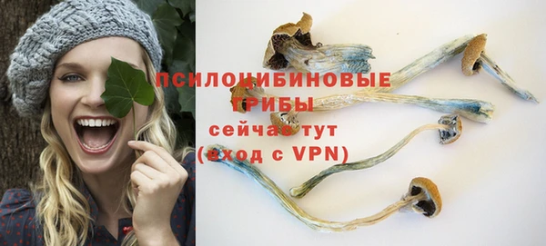 амф Бронницы