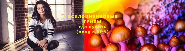 прущая мука Богородицк