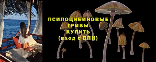 дмт Богданович