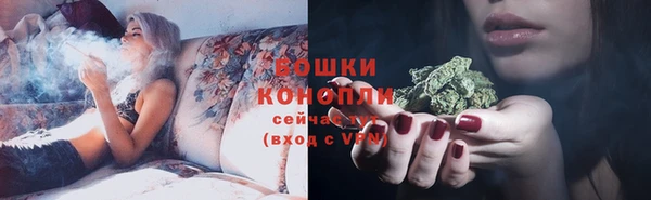 амф Бронницы
