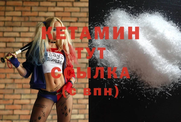 дмт Богданович