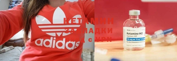 дмт Богданович