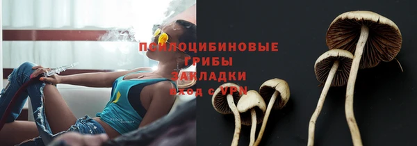 дмт Богданович