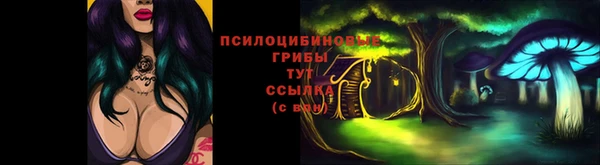 прущая мука Богородицк