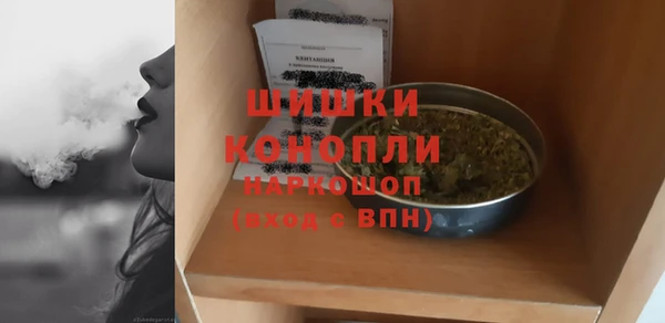 дмт Богданович