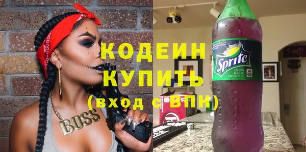 дмт Богданович