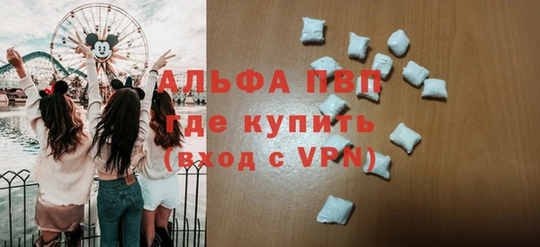 дмт Богданович