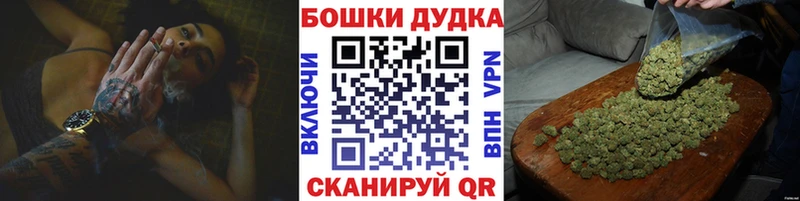 купить наркотик  Ершов  Конопля OG Kush 